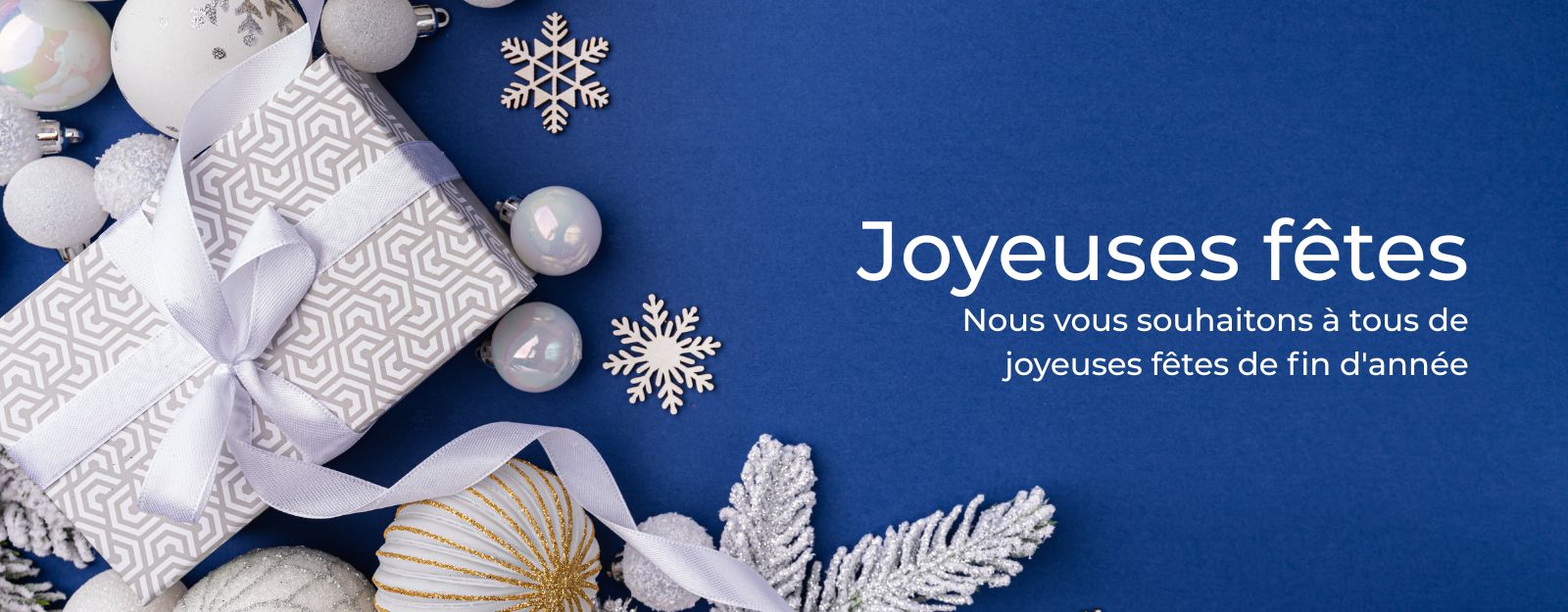 Vœux de Noël 2025_Desktop