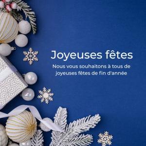 Vœux de Noël 2025 Website Mobile